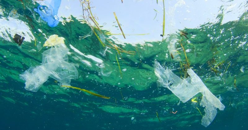 How to manage marine pollution?