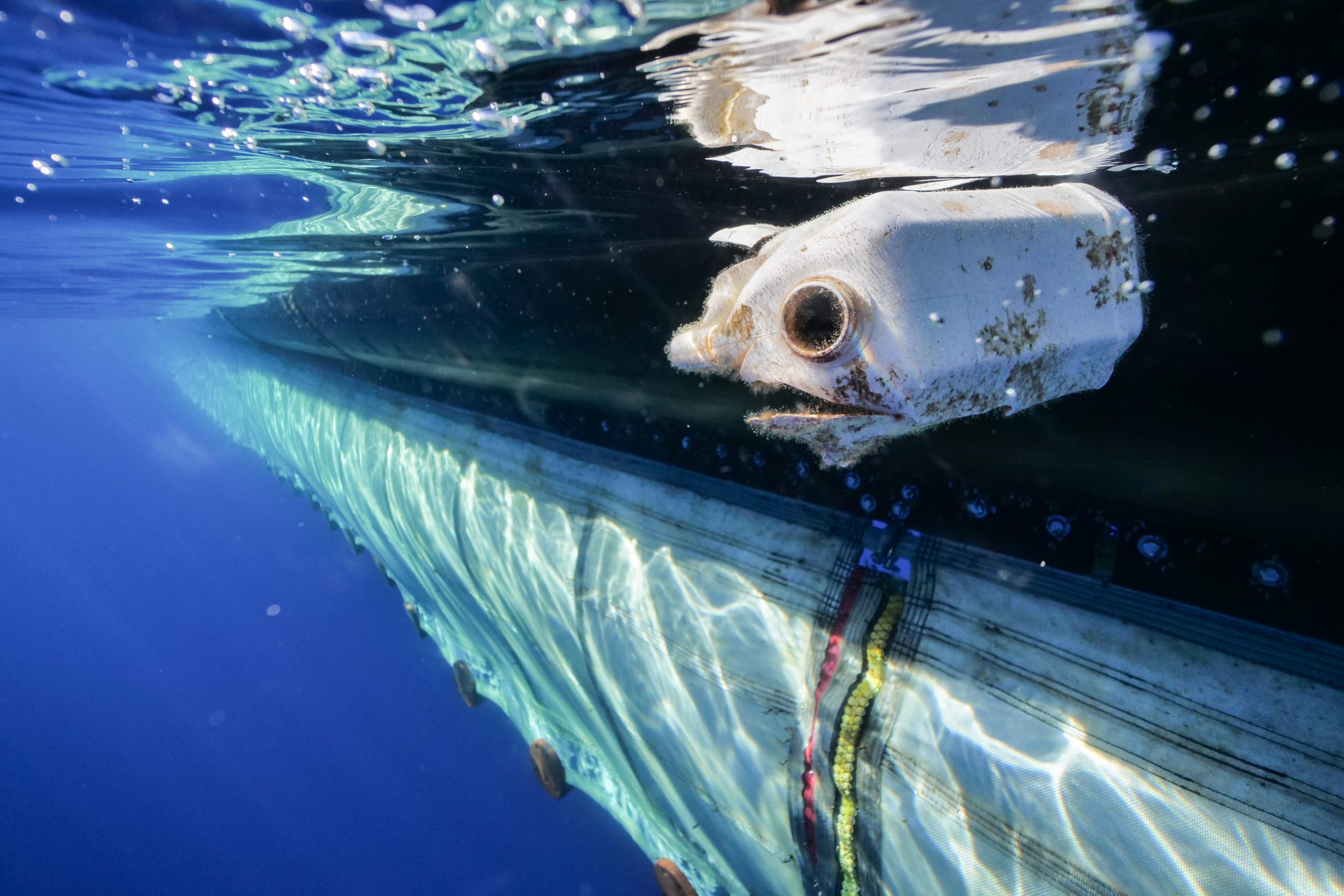 Ecocoast Partnered with The Ocean Cleanup