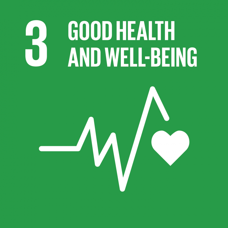 CONTRIBUTING TO THE UNITED NATIONS GLOBAL GOALS – the 17 Sustainable Development Goals (SDGs)