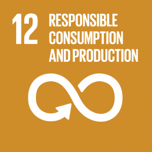 CONTRIBUTING TO THE UNITED NATIONS GLOBAL GOALS – the 17 Sustainable Development Goals (SDGs), SDG 12