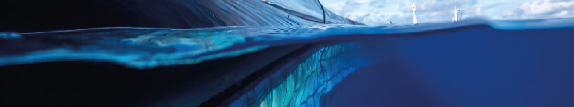 Ecobarrier Silt Curtain Type V