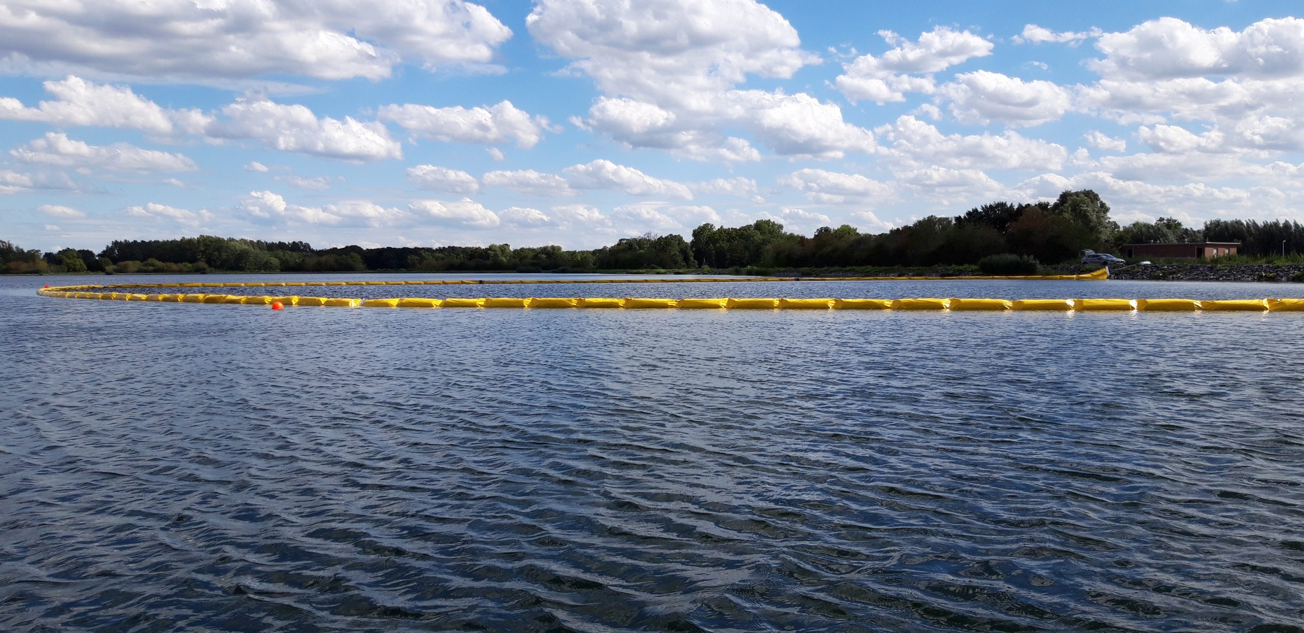 Breaking Boundaries: How Ecocoast is tackling the spread of lethal algae blooms