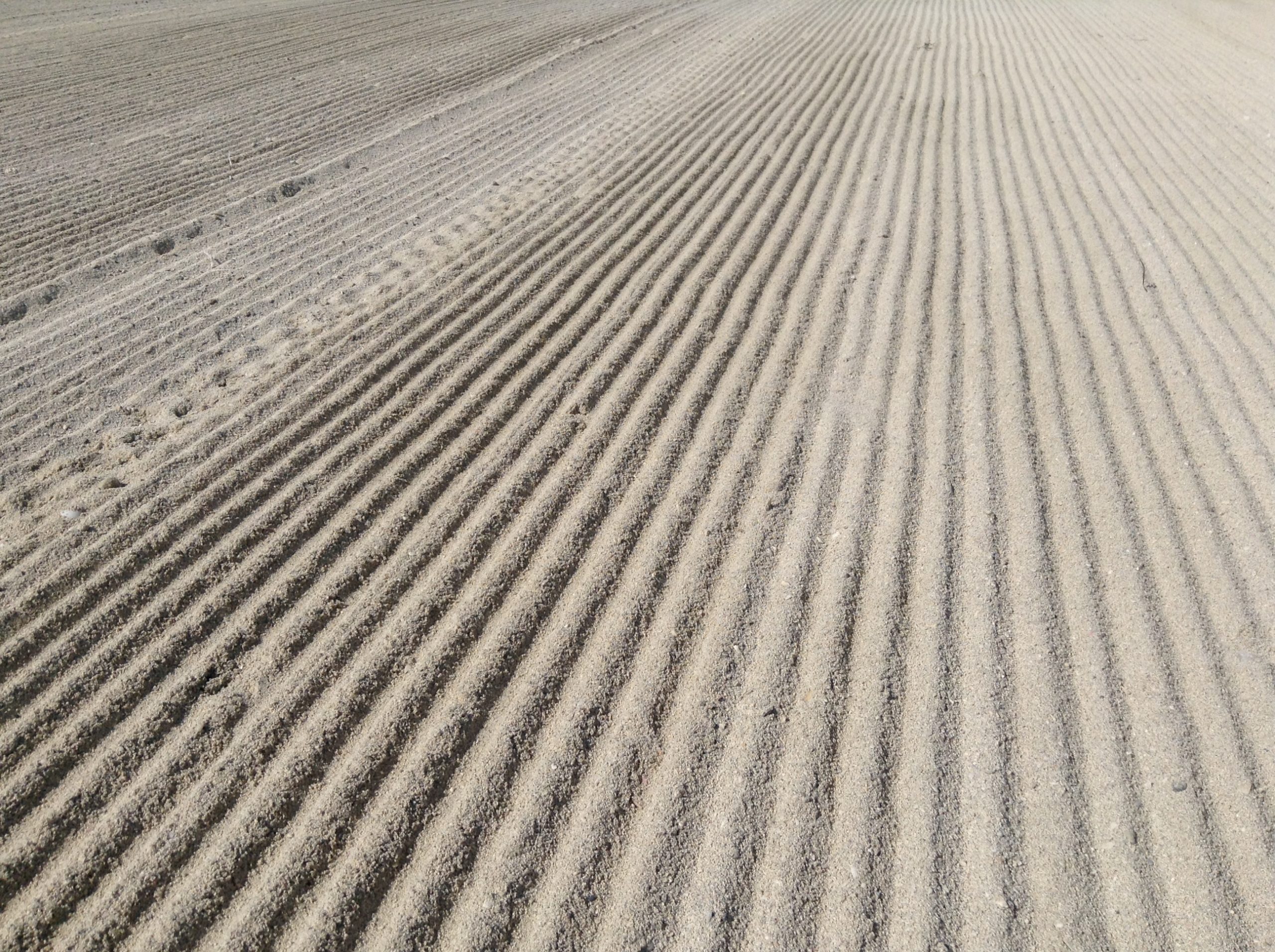 Maintaining our focus on keeping the UAE’s beaches clean