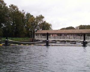 Molesey Weir Project