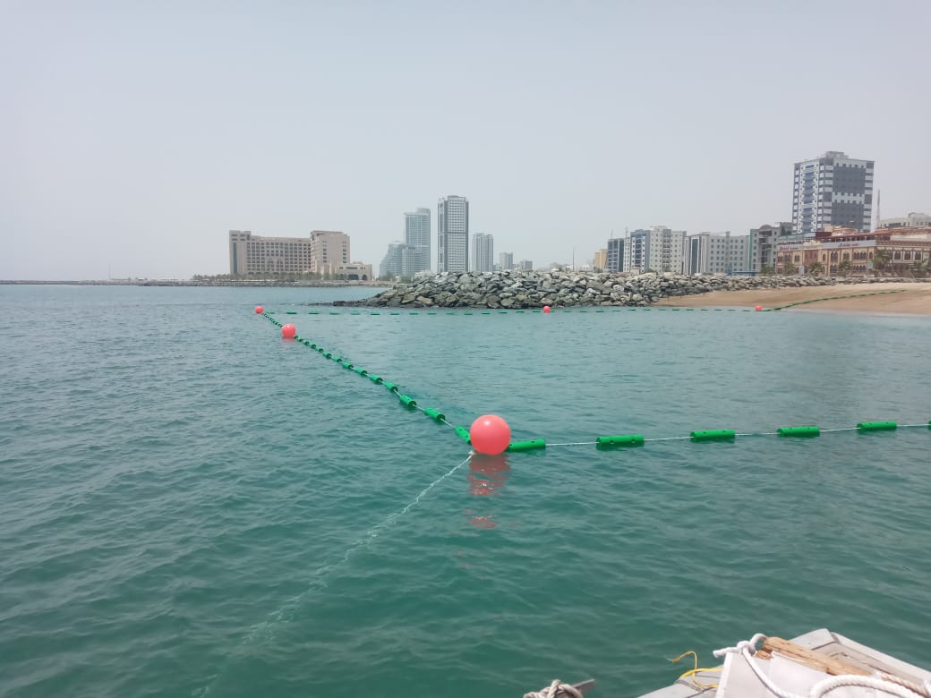 How to Keep Swimmers Safe During Jellyfish Swarms