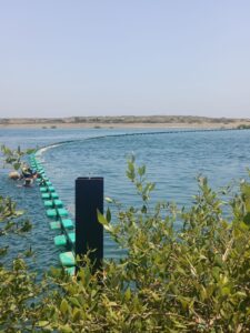 Our Road to COP28 [3]: Preserving Khor Kalba Mangrove Reserve