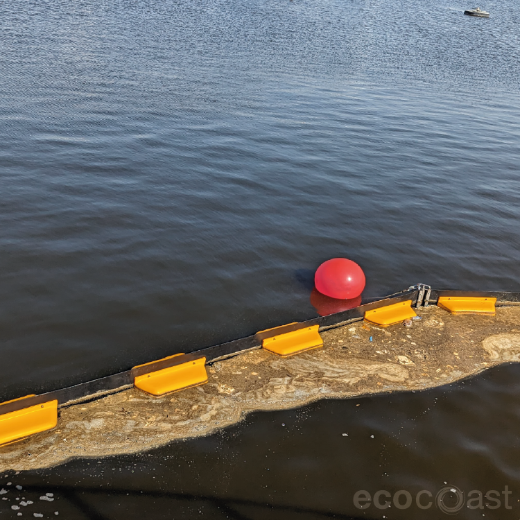 bolina harbour oil booms spills