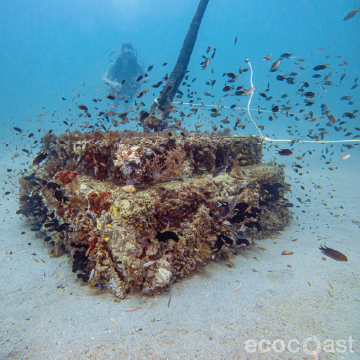 Ecoreef mooring block