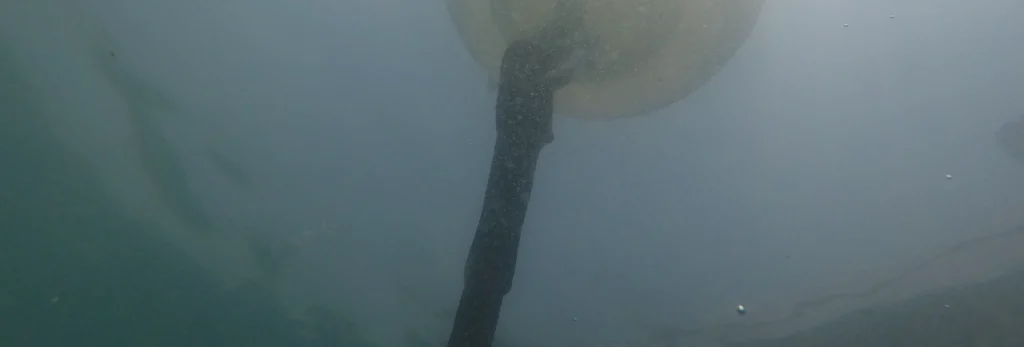 Sustainable Mooring in the Red Sea