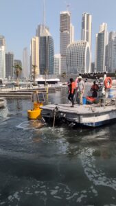 Water quality monitoring