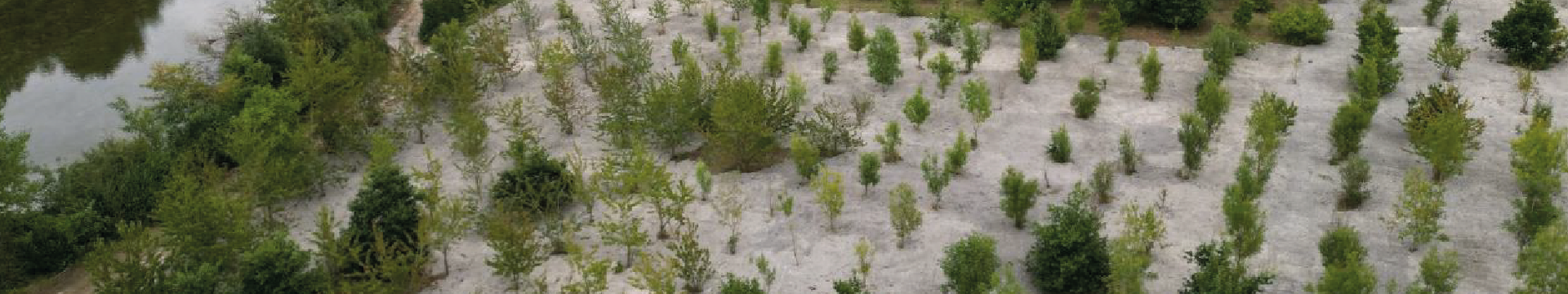 Sludge remediation in UK dredging project