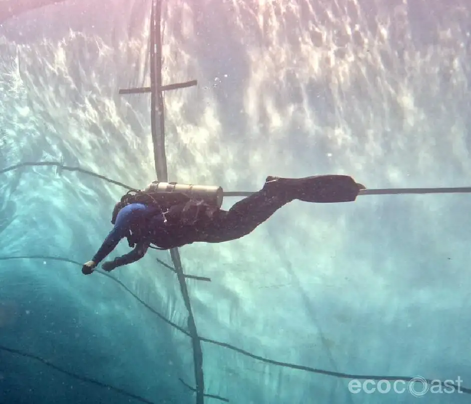 Ecobarrier Silt Curtain