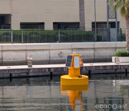 Water Quality Monitoring for Safe Swimming