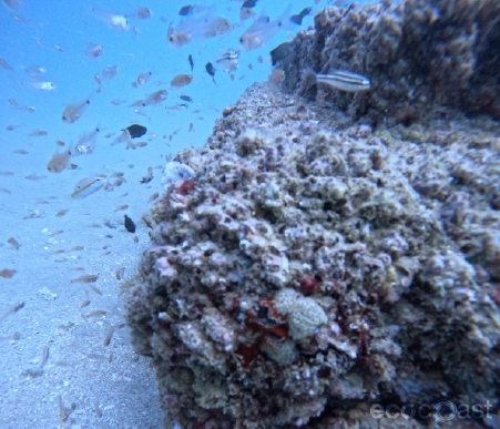 Sustainable Mooring Block