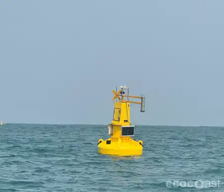 Hydrocarbon Monitoring