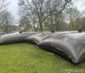 Sludge Remediation
