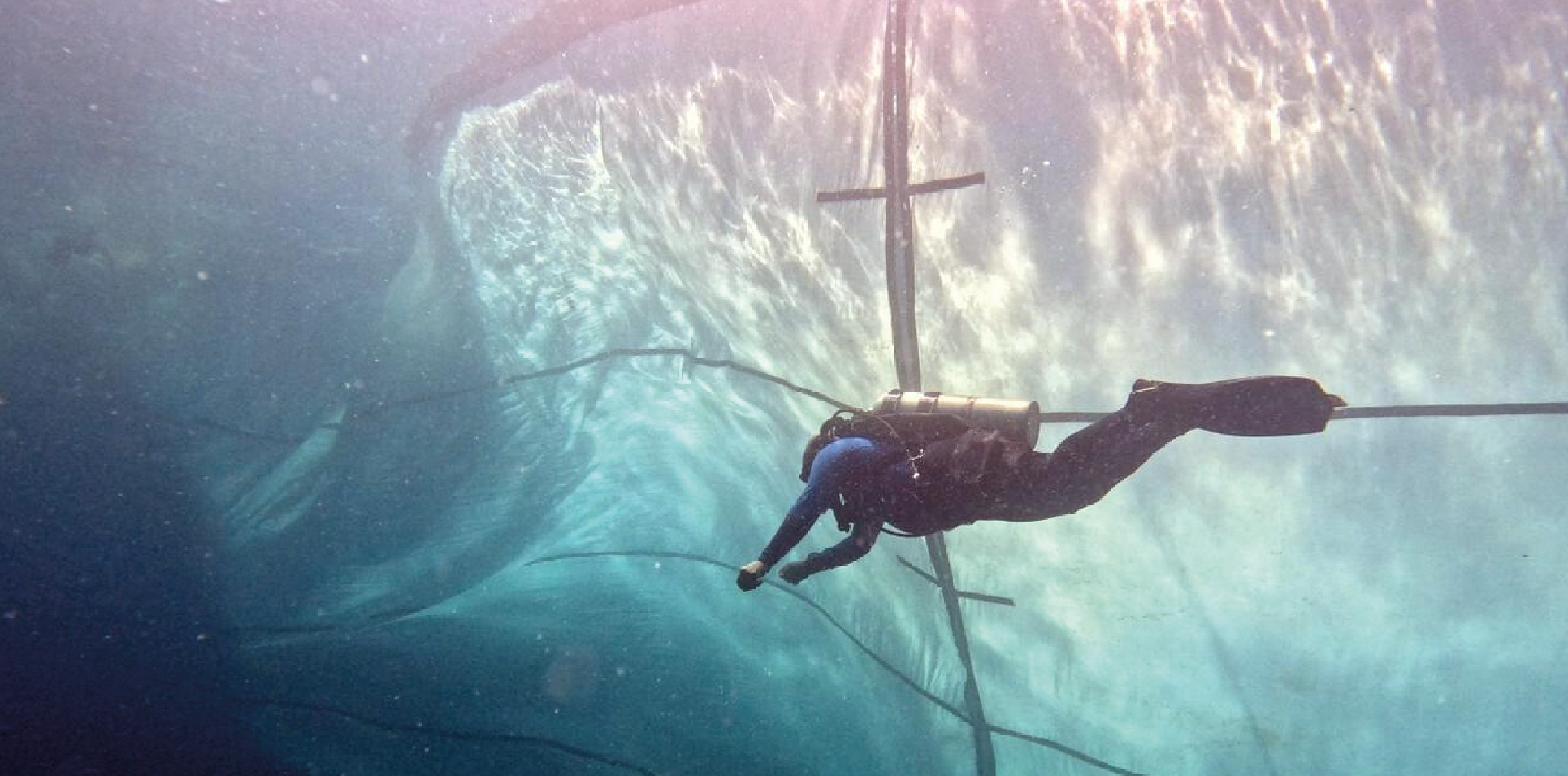 Marine services at Ecocoast