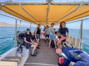 Ecoreef World Ocean Day