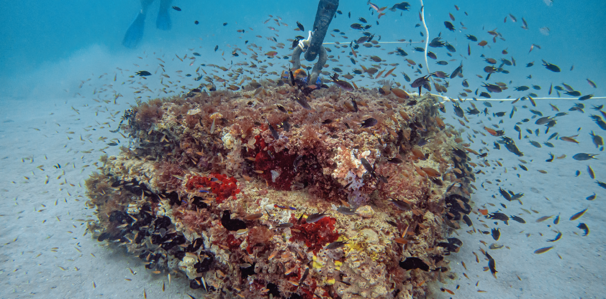 Ecoreef eco-engineered mooring block