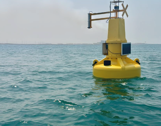 Real-time oil spill detection on the Red Sea