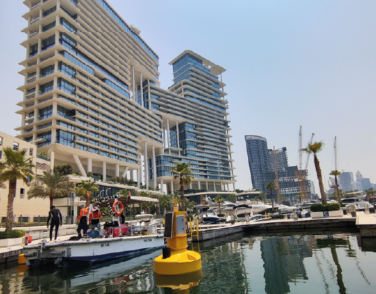 Real-Time Water Quality Monitoring at a Marina