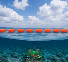 Ecoreef for Safety Booms